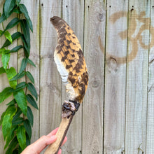 Load image into Gallery viewer, Barn Owl Wing with Amethyst &amp; Citrine Cluster on Driftwood Smudge Wand