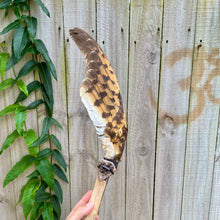 Load image into Gallery viewer, Barn Owl Wing with Amethyst &amp; Citrine Cluster on Driftwood Smudge Wand