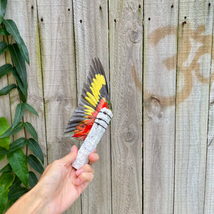 Rainbow Lorikeet Wing on White Coral Smudge Wand