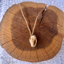 Load image into Gallery viewer, Shell Necklace on Hemp