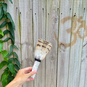 Barn Owl Tail with Amethyst on White Coral Handle