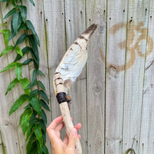 Load image into Gallery viewer, Barn Owl Wing with Amethyst &amp; Citrine Cluster on Driftwood Smudge Wand